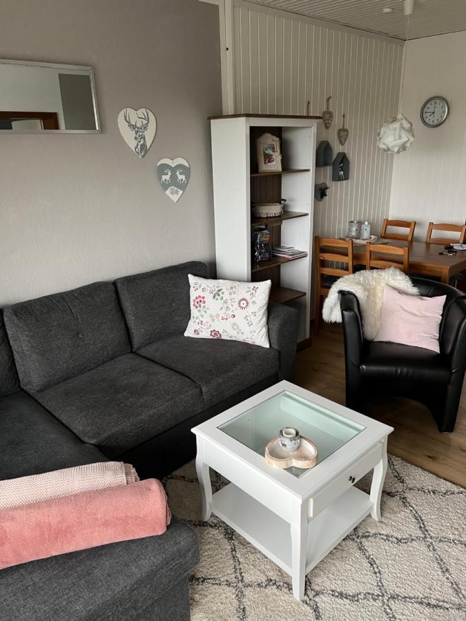 Julia Apartment Sankt Andreasberg Ngoại thất bức ảnh